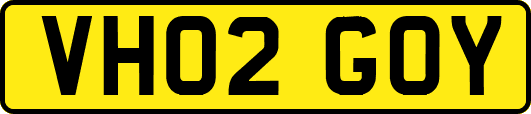 VH02GOY