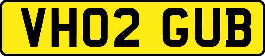 VH02GUB