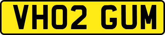 VH02GUM