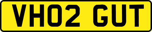 VH02GUT