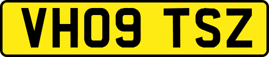 VH09TSZ