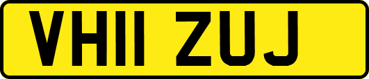 VH11ZUJ