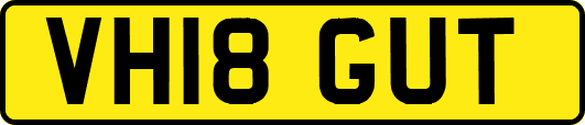 VH18GUT