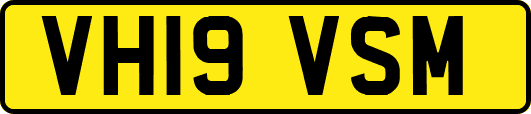 VH19VSM