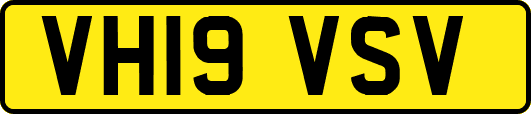 VH19VSV