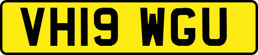 VH19WGU