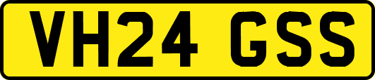 VH24GSS