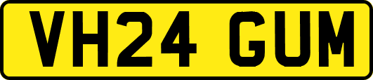 VH24GUM