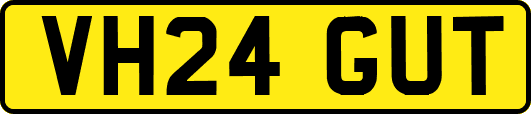 VH24GUT