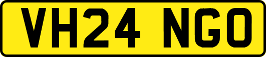 VH24NGO