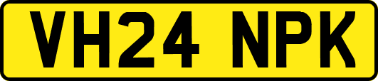 VH24NPK