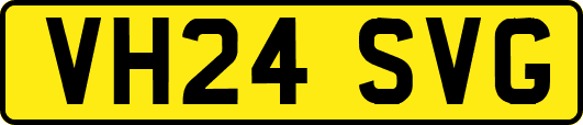 VH24SVG