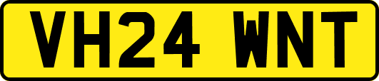 VH24WNT