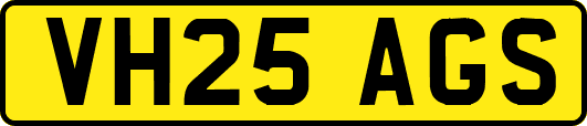 VH25AGS