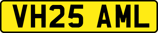 VH25AML
