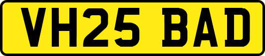 VH25BAD