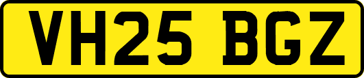 VH25BGZ