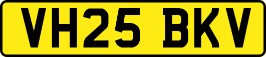 VH25BKV