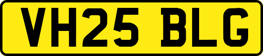 VH25BLG