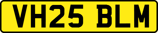 VH25BLM
