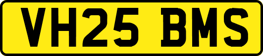 VH25BMS