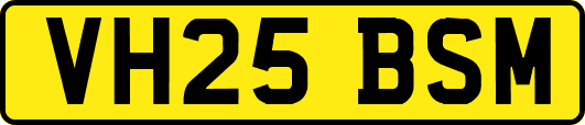 VH25BSM