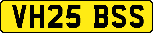 VH25BSS