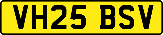 VH25BSV