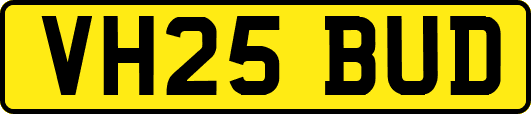 VH25BUD