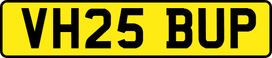 VH25BUP