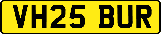 VH25BUR