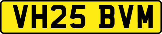 VH25BVM