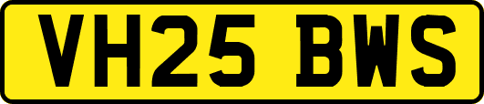 VH25BWS