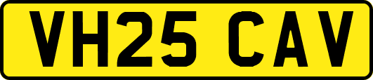 VH25CAV