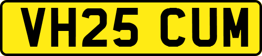VH25CUM