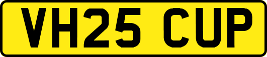 VH25CUP