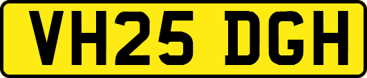 VH25DGH