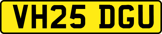 VH25DGU