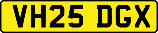 VH25DGX