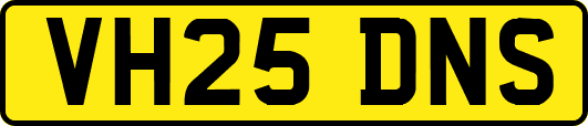 VH25DNS