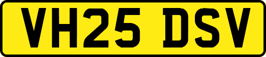 VH25DSV