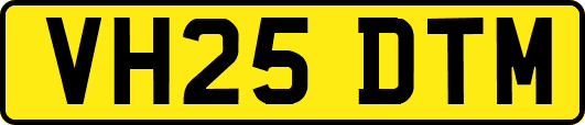 VH25DTM