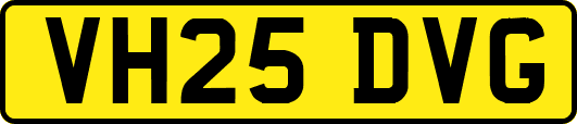 VH25DVG