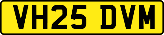 VH25DVM