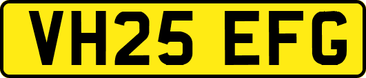 VH25EFG