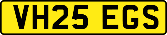 VH25EGS