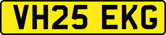 VH25EKG