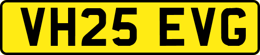 VH25EVG