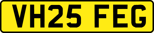 VH25FEG