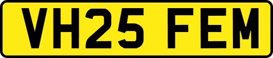 VH25FEM